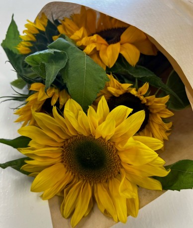 Market Bunch