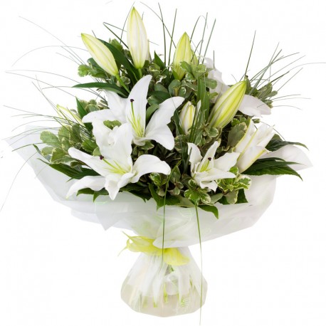 Lovely Lillies