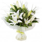 Lovely Lillies